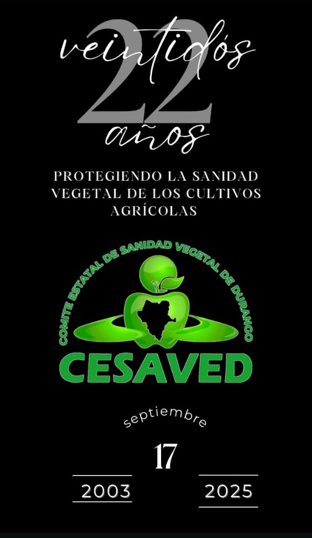 Novedades