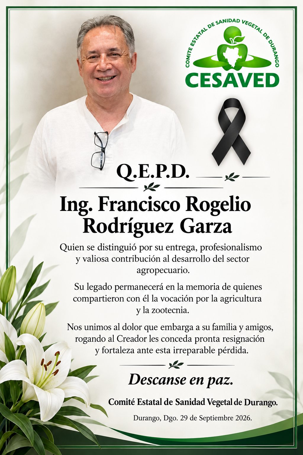 Novedades